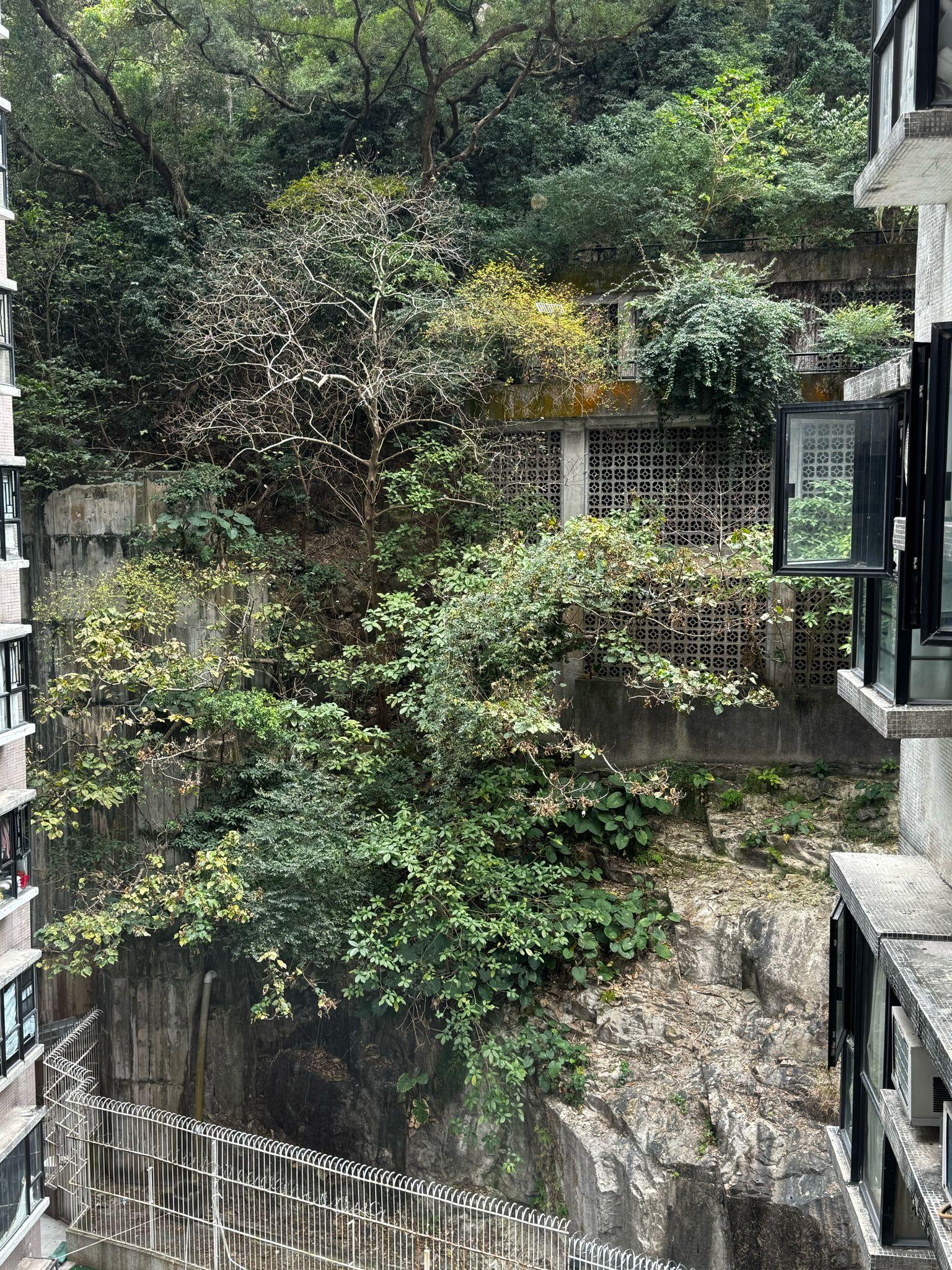 丹拿花園 title=